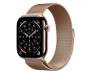Apple Watch Series 11 GPS + Cellular 42mm Gold Tit. Case w. Gold Milanese Loop (MF8Y4) 1