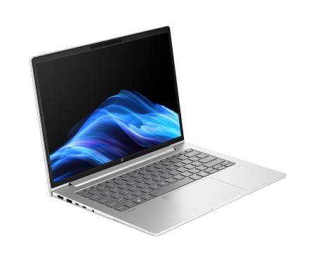 Ноутбук HP ProBook 4 G1a 14 Silver (B9ZF8ET) 4