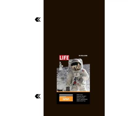 Гидрогелевая пленка Blade (P) back NASA series Life to moon 1