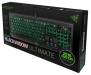 Клавиатура Razer BlackWidow Ultimate 2016 (RZ03-01700700-R3R1)