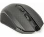 Мышь 2E MF203 WL Black (2E-MF203WB)