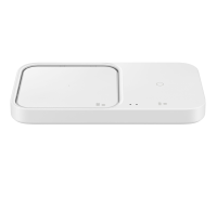 Samsung 301543
