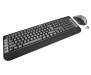Комплект Trust Ximo Wireless Keyboard with mouse UKR (21628)