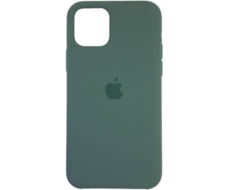 Чохол Silicone Case для iPhone 11 Cactus