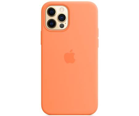 Чохол Silicone Case [Plastic Box] для iPhone 16 Pro Max Papaw