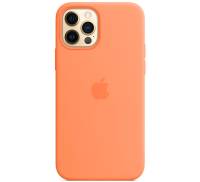 Чохол Silicone Case [Plastic Box] для iPhone 16 Pro Max Papaw