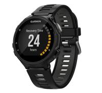 Смарт-часы Garmin Forerunner 735XT Black/Gray (010-01614-06)