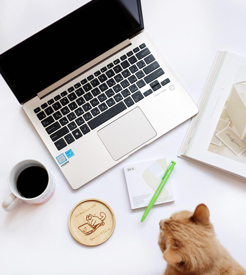 Ноутбук Asus ZenBook 13 UX331UA (UX331UA-DS71) Icicle Gold