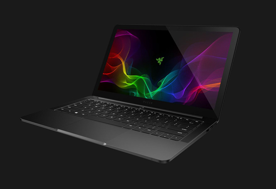 Razer Blade Stealth 13 (RZ09-02393E31-R3U1)