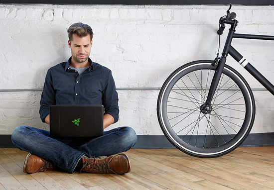 Razer Blade Stealth 13 (RZ09-02393E31-R3U1)