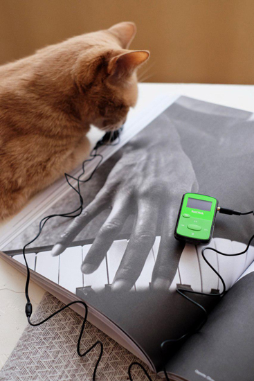 MP3 плеер SanDisk Sansa Clip Jam 8GB (Green)
