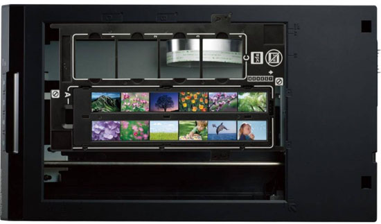 Сканер Epson V550 Photo (B11B210303)