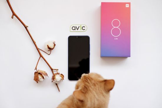 Xiaomi Mi 8 Lite