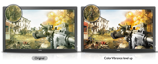 BenQ RL2455S
