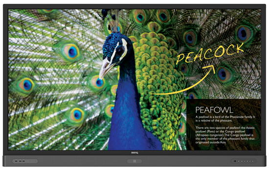 Монитор BenQ RM