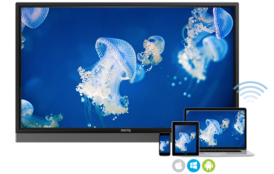 Монитор BenQ RM