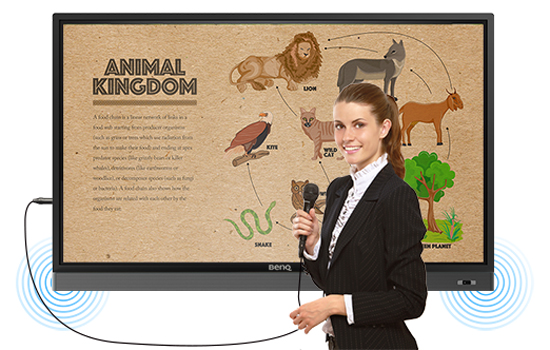 Монитор BenQ RM