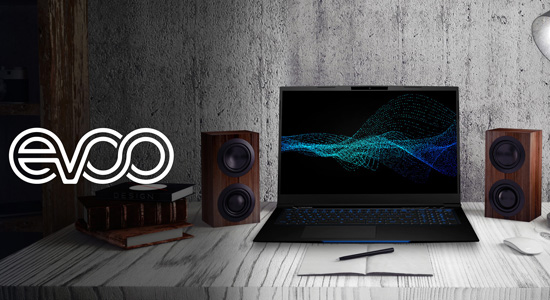 Ноутбук EVOO Chrome Book