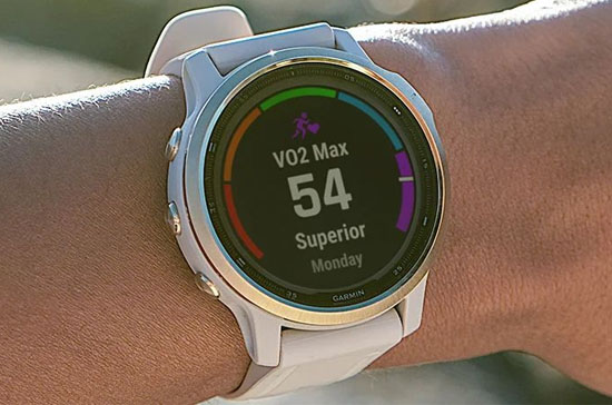 Garmin Fenix 6S Pro Solar Edition Amethyst Steel with Shale Gray Band