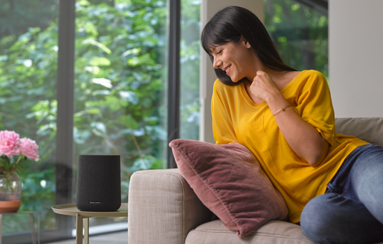 Колонка Harman/Kardon Citation ONE Black