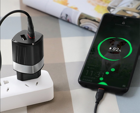 Сетевое зарядное устройство Hoco C55A Energy dual port charger (EU) Black
