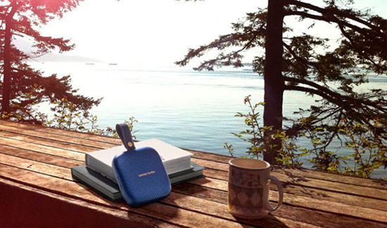 Колонка Harman Kardon NEO Portable Copper/Brown (HKNEOBRN)
