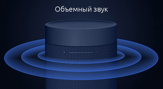 Xiaomi Mi Outdoor Bluetooth Speaker Dark Gray