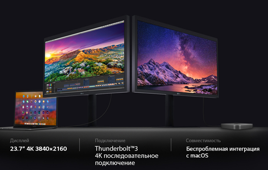 Монитор LG 24MD4KL-B