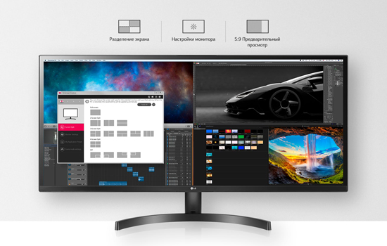 Монитор LG 29WL500-B