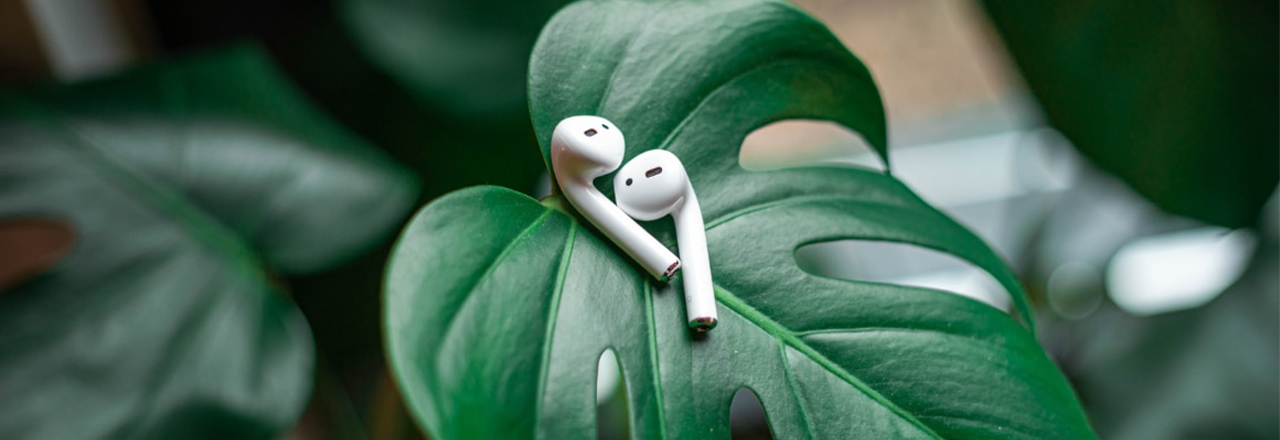 Наиболее частые причины, почему AirPods не подключаются Наиболее частые причины, почему AirPods не подключаются