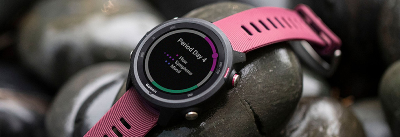 Garmin Forerunner 55/245 Garmin Forerunner 55/245