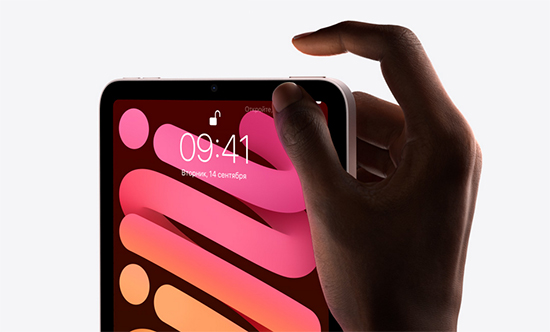 Apple iPad Mini 2 021