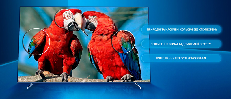 Телевизор Skyworth 55Q4 AI