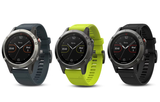 Смарт-часы Garmin fenix 5 Black Silver with Black Band Silver (010-01688-03)