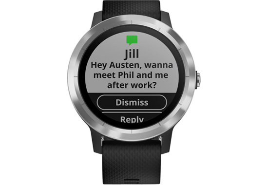 Смарт-часы Garmin Vivoactive 3 Black/Stainless Steel (010-01769-00)