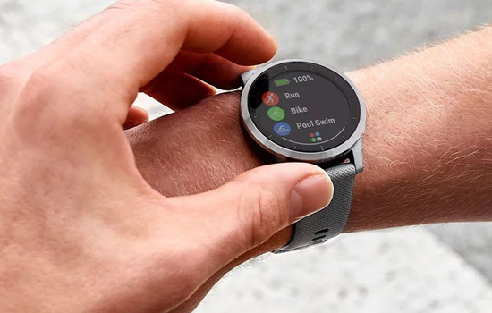 Смарт-часы Garmin vivoactive 4 Shadow Gray/Silver (010-02174-03)