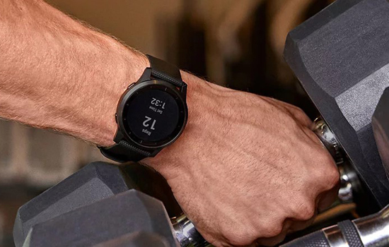 Смарт-часы Garmin vivoactive 4 Shadow Gray/Silver (010-02174-03)