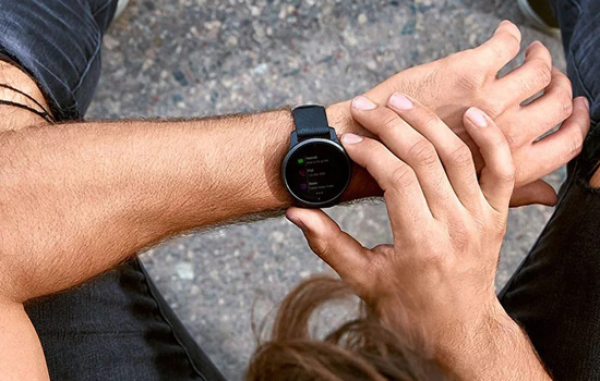 Смарт-часы Garmin vivoactive 4 Shadow Gray/Silver (010-02174-03)