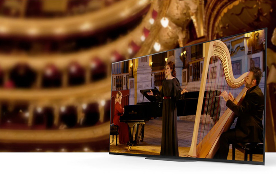 Телевизор Sony KD-55AG9