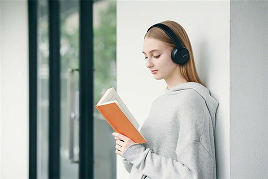 Sony WH-CH510 Black