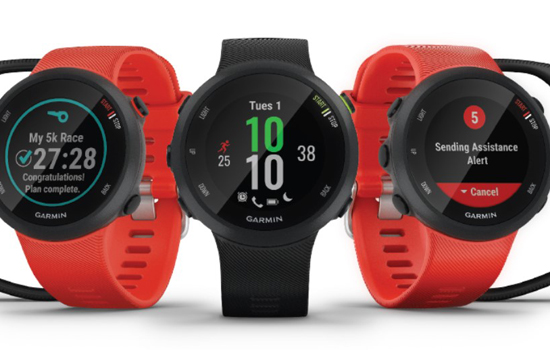 Спортивные часы Garmin Forerunner 45s White (010-02156-00)