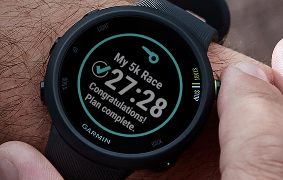 Спортивные часы Garmin Forerunner 45s White (010-02156-00)