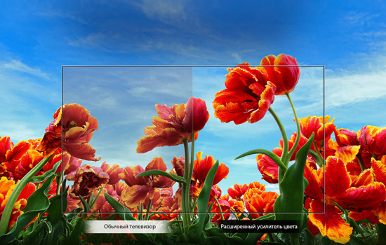 Телевизор LG 32LM550