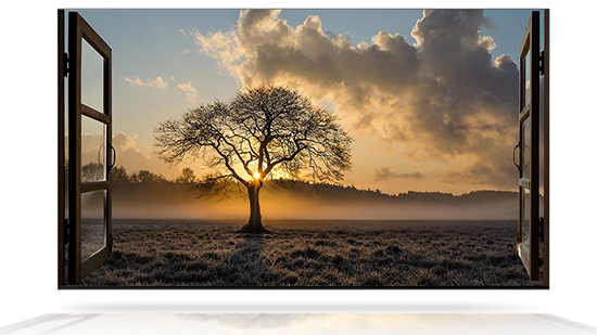 Телевизор Samsung QE65Q800TAUXUA