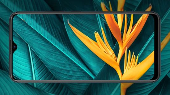vivo Y19