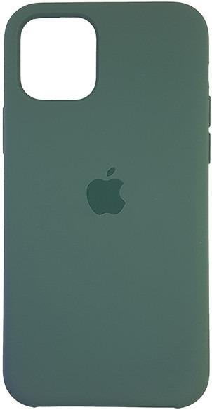 Чохол Silicone Case для iPhone 11 Cactus фото 1